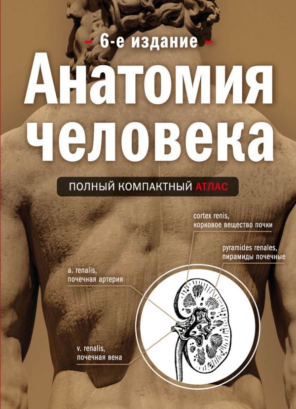 Анатомия Человека. Полный Компактный Атлас