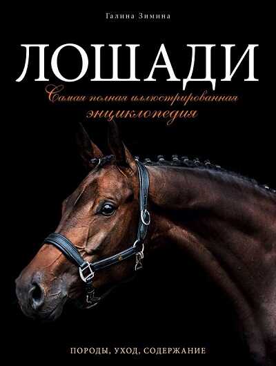 Лошади