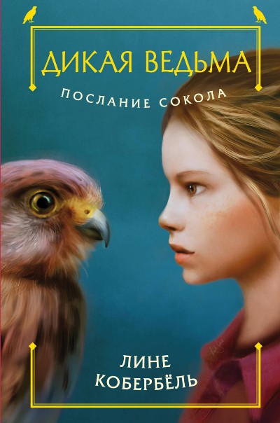Послание Сокола