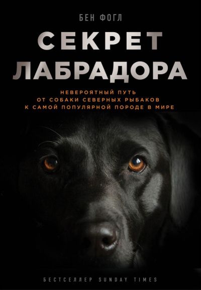 Секрет Лабрадора