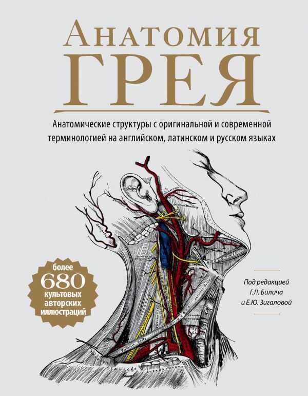 АНАТОМИЯ ГРЕЯ. АНАТОМИЧЕСКИЕ СТРУКТУРЫ С ОРИГИНАЛьНОЙ И СОВРЕМЕННОЙ ТЕРМИНОЛОГИЕЙ