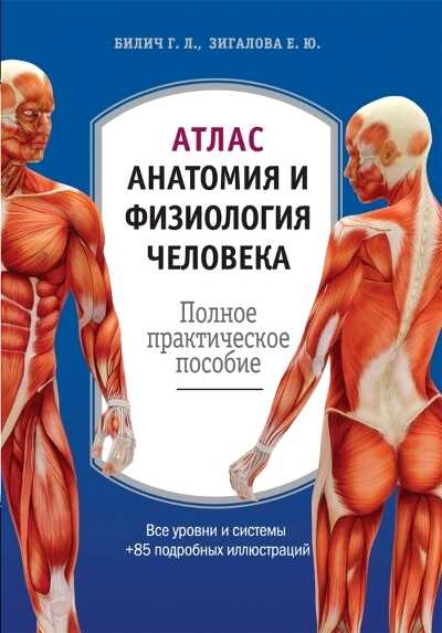 Атлас. Анатомия И Физиология Человека