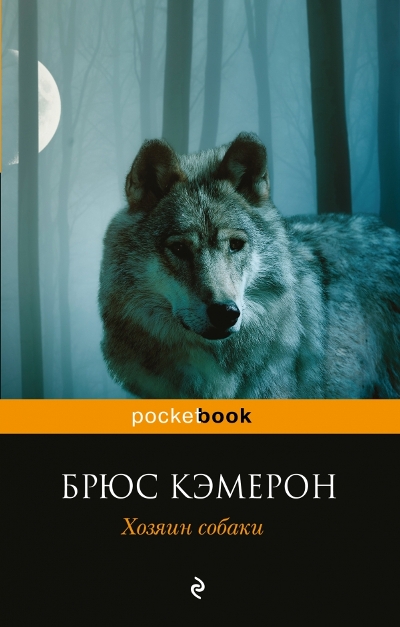 Хозяин Собаки