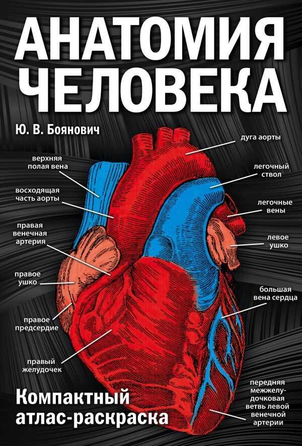 Анатомия Человека: Компактный Атлас-раскраска