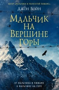 МАЛьЧИК НА ВЕРШИНЕ ГОРЫ