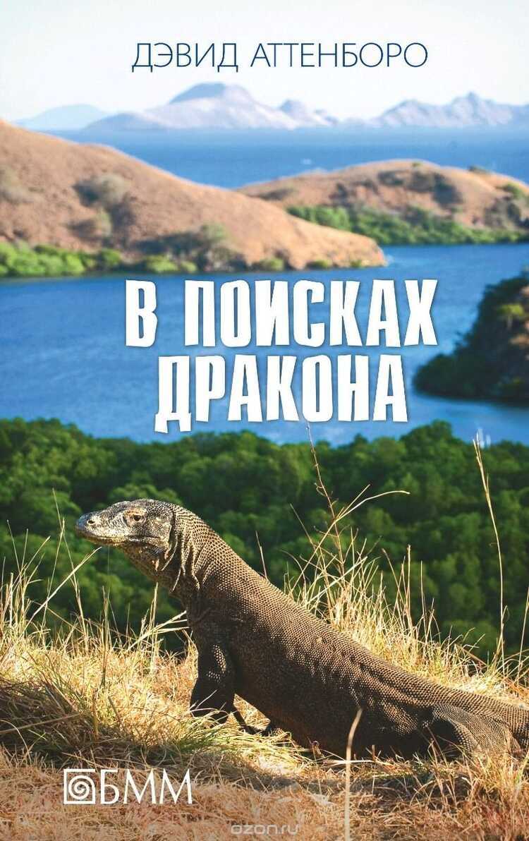 В Поисках Дракона