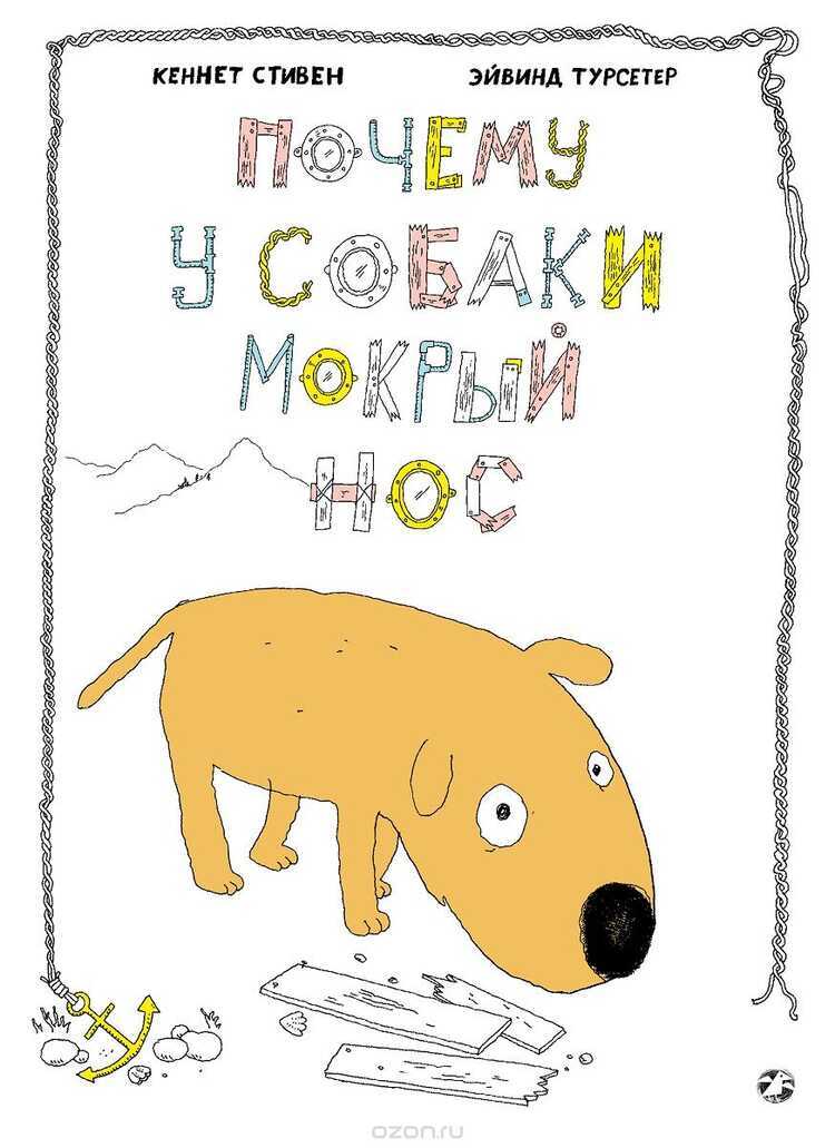 Почему У Собаки Мокрый Нос