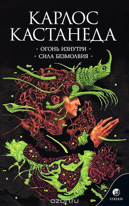 ОГОНь ИЗНУТРИ. СИЛА БЕЗМОЛВИЯ