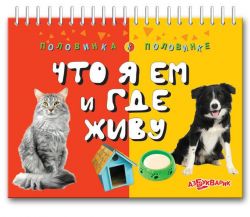 Что Я Ем И Где Живу