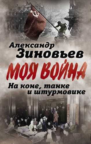 На Коне, Танке И Штурмовике. Записки Воина-философа