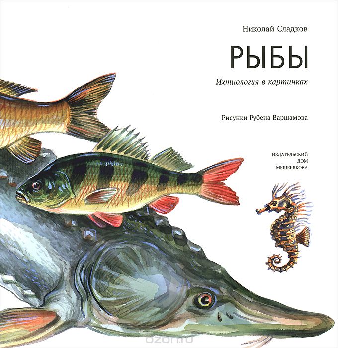 Рыбы. Ихтиология В Картинках