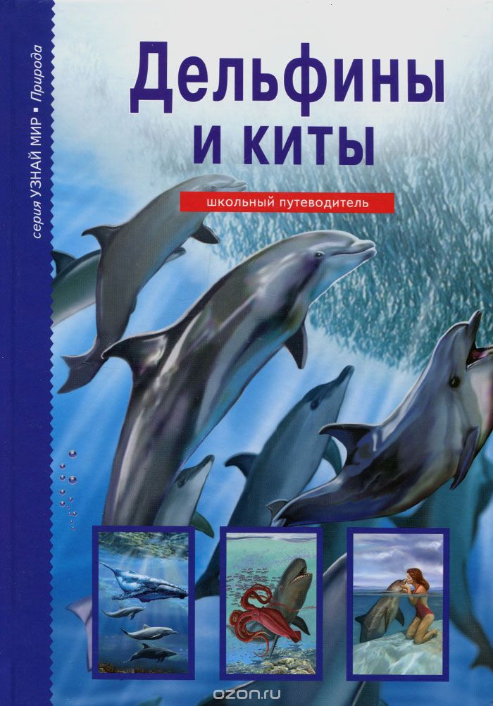 ДЕЛьФИНЫ И КИТЫ. ШКОЛьНЫЙ ПУТЕВОДИТЕЛь