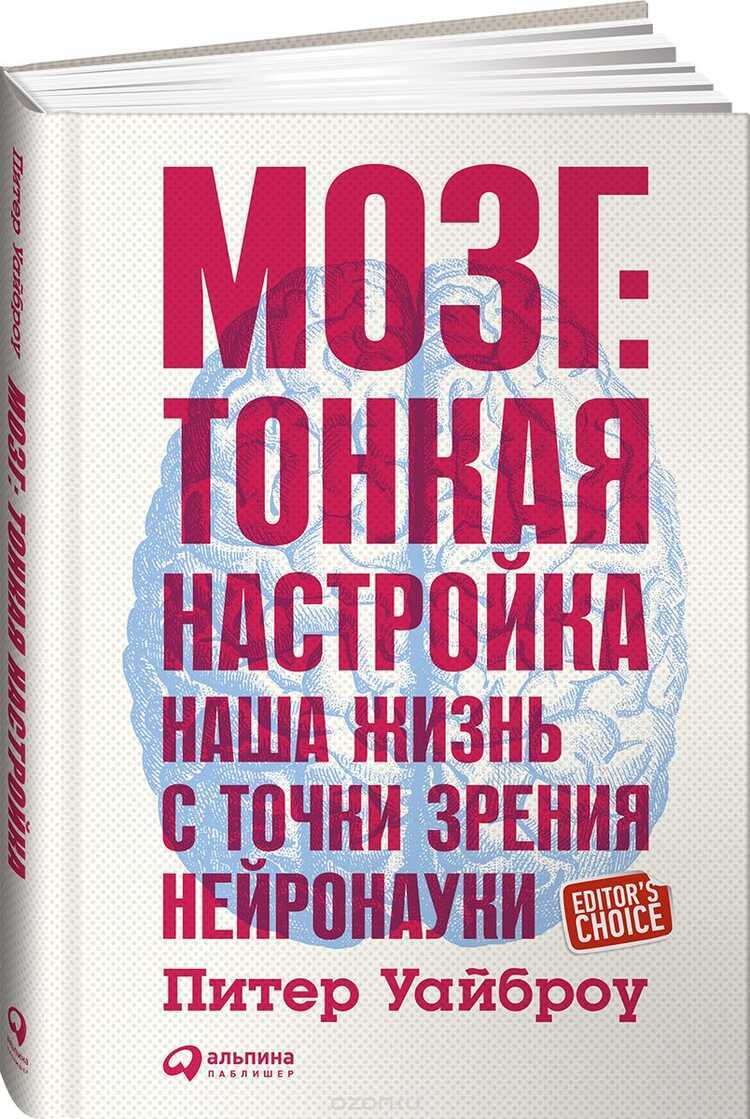 МОЗГ: ТОНКАЯ НАСТРОЙКА. НАША ЖИЗНь С ТОЧКИ ЗРЕНИЯ НЕЙРОНАУКИ