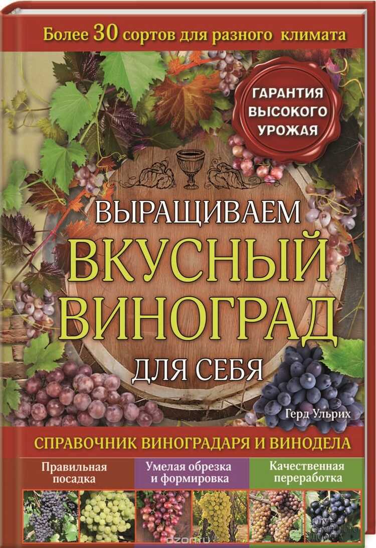 Выращиваем Вкусный Виноград Для Себя. Справочник Виноградаря И Винодела