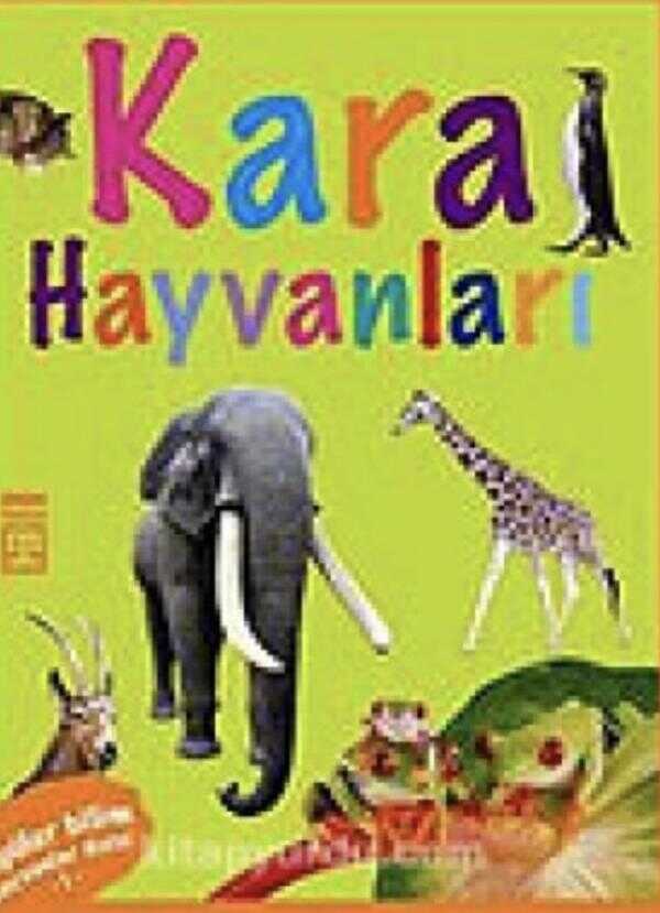 Kara Hayvanları