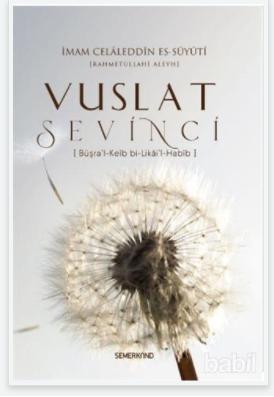Vuslat Sevinci