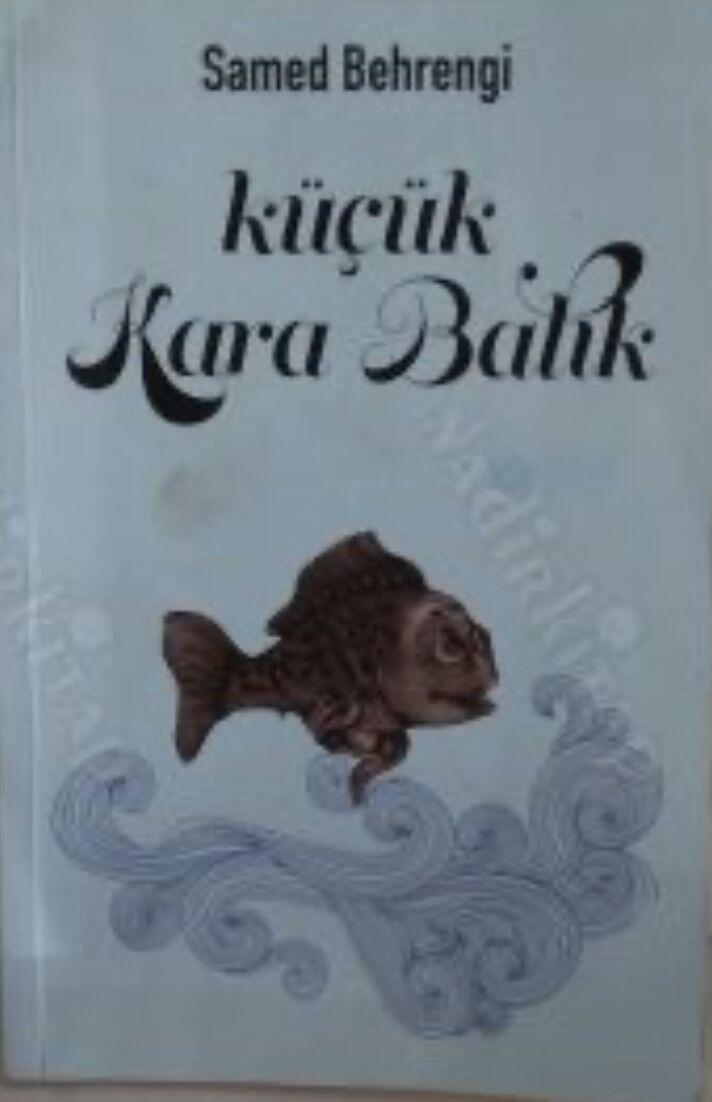 Küçük Kara Balık