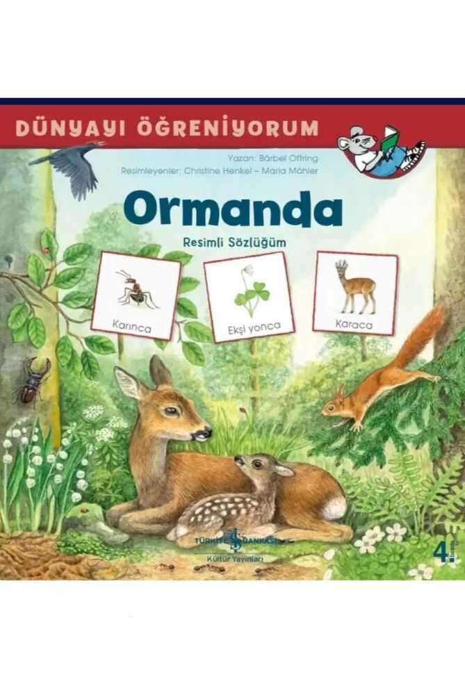 Ormanda