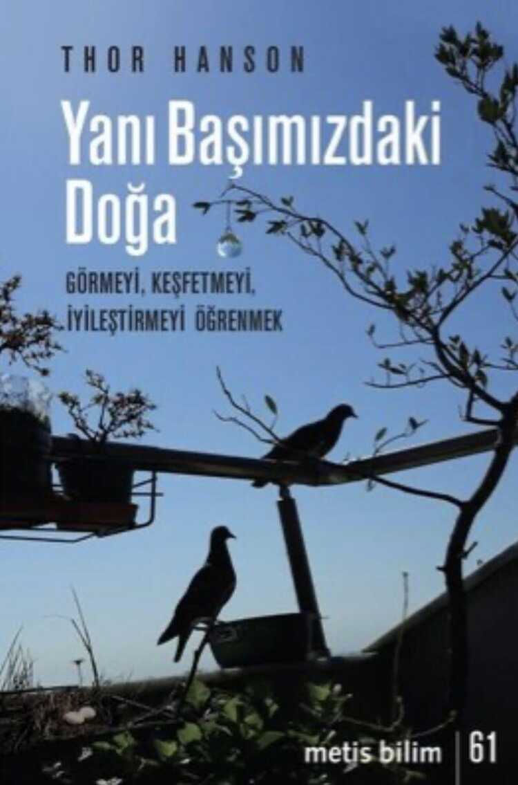 Yanı Başımızdaki Doğa