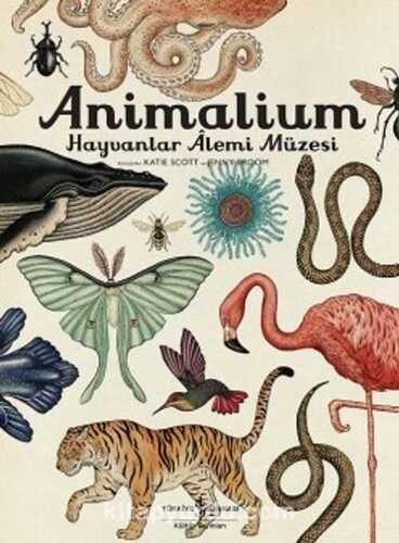 Animalium — Çağlar Sunay