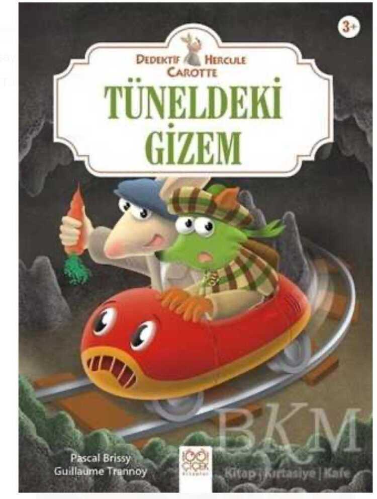 Tüneldeki Gizem