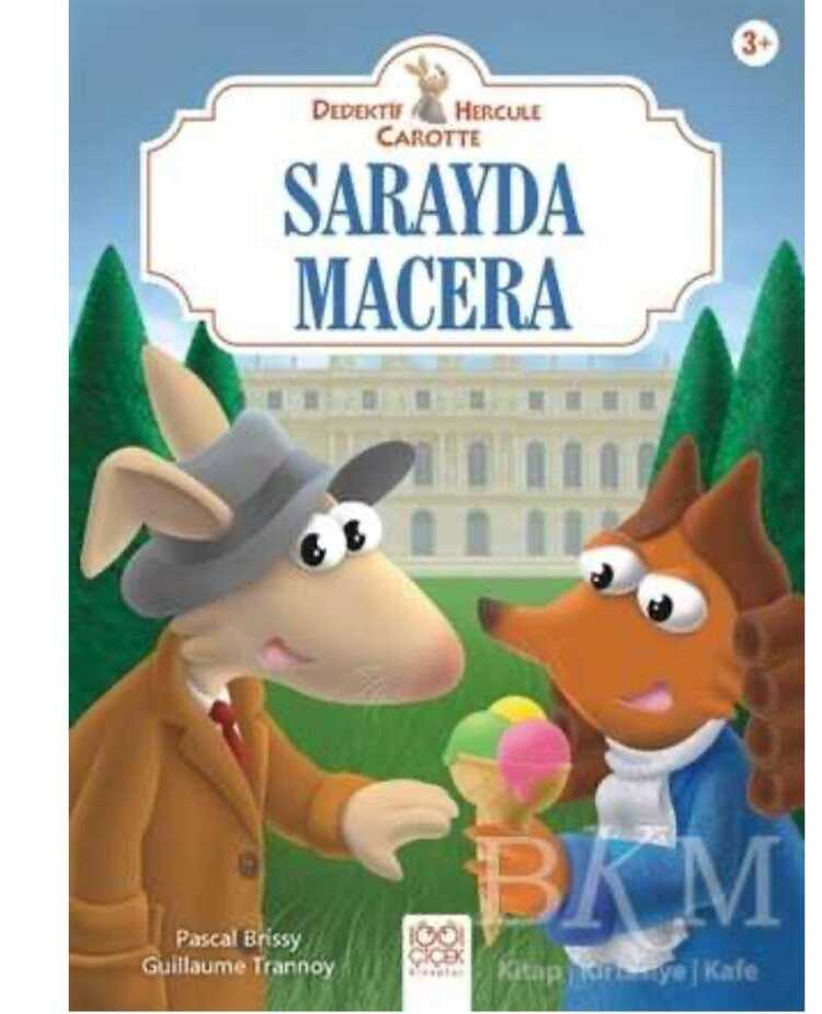 Sarayda Macera