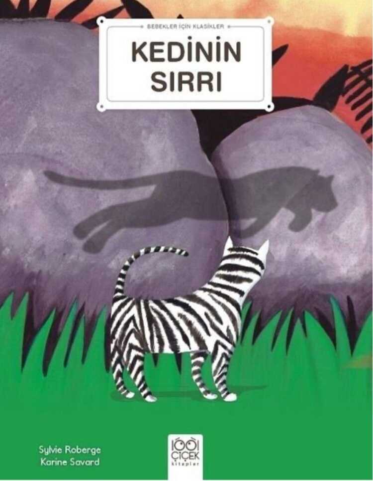 Kedinin Sırrı