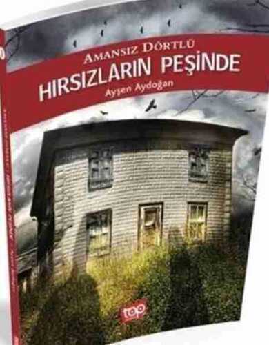Hırsızların Peşinde