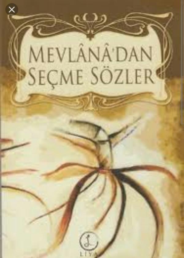Mevlana'dan Seçme Sözler