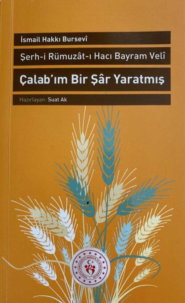 Çalab’ım Bir Şar Yaratmış / Şerh-i Rümuzat-ı Hacı Bayram Veli