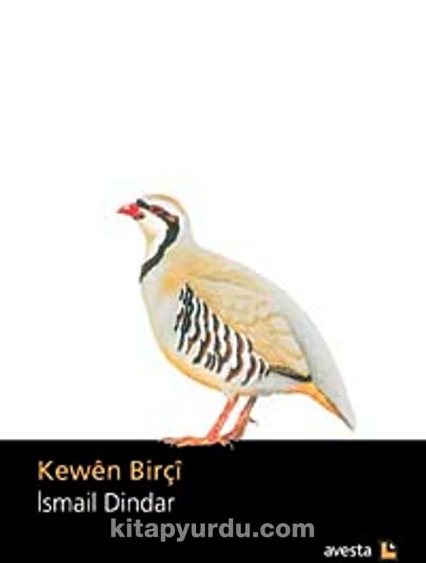 Kewên Birçî