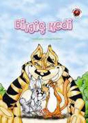Bilgiç Kedi
