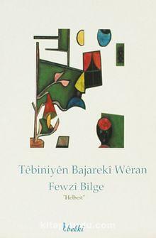 Têbiniyên Bajarekî Wêran