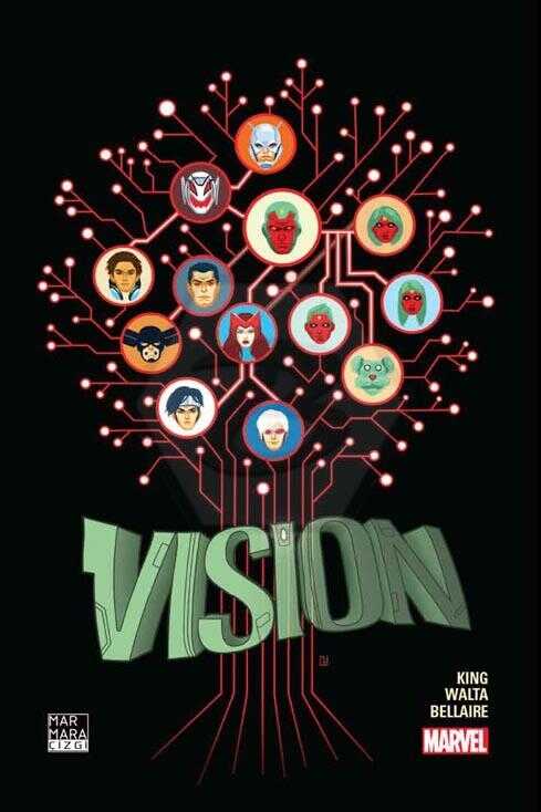 Vision