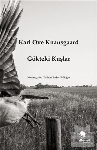 Gökteki Kuşlar