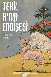 Tekil A'nın Endişesi