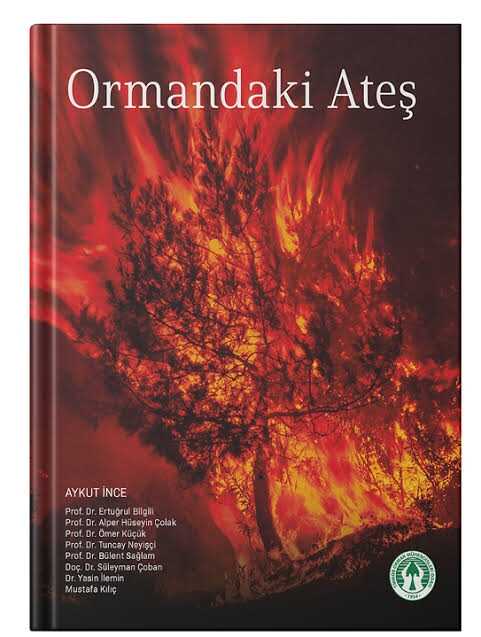Ormandaki Ateş