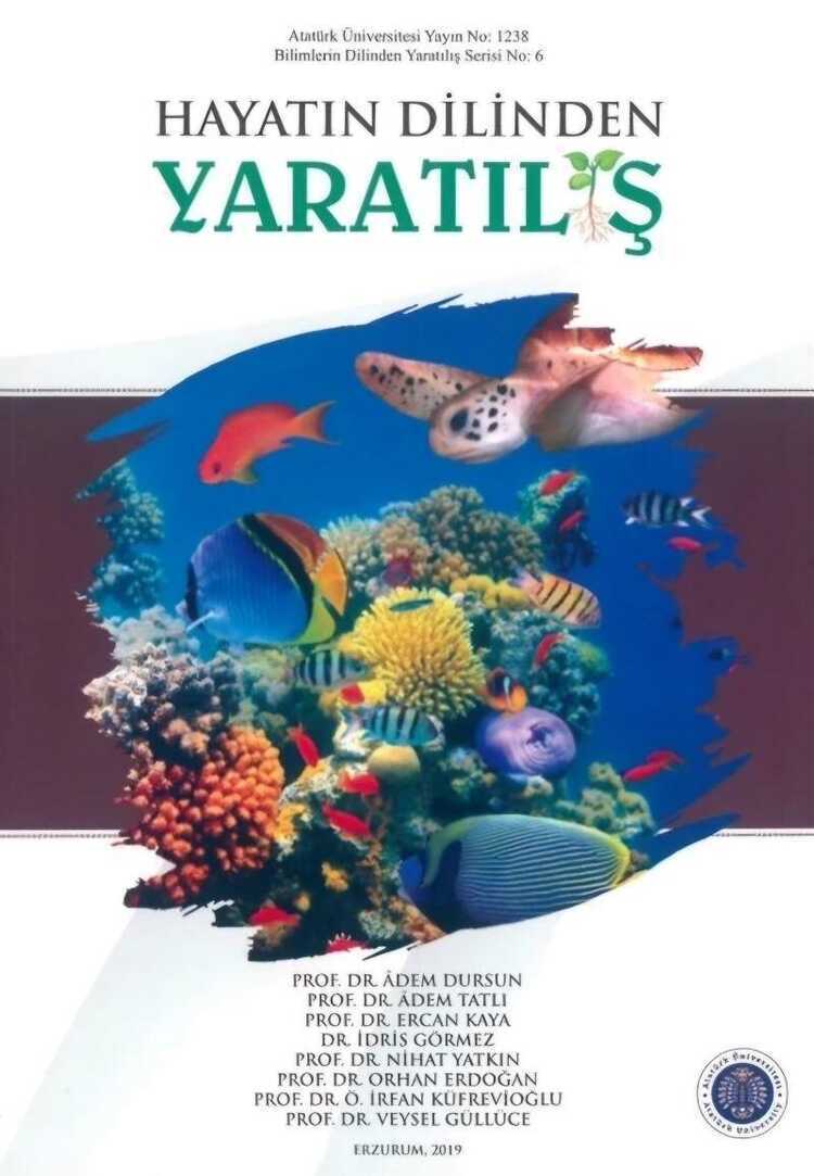 Hayatın Dilinden Yaratılış