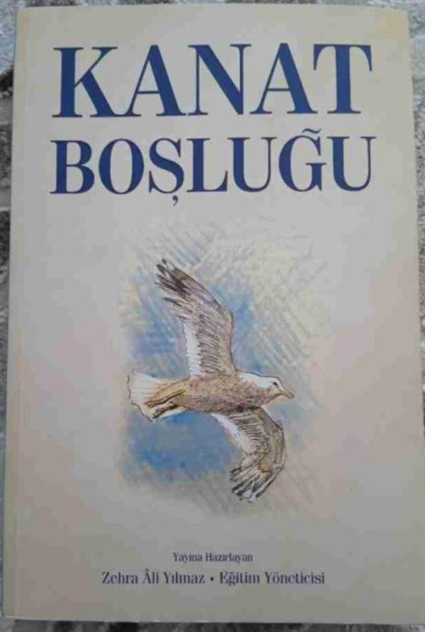 Kanat Boşluğu
