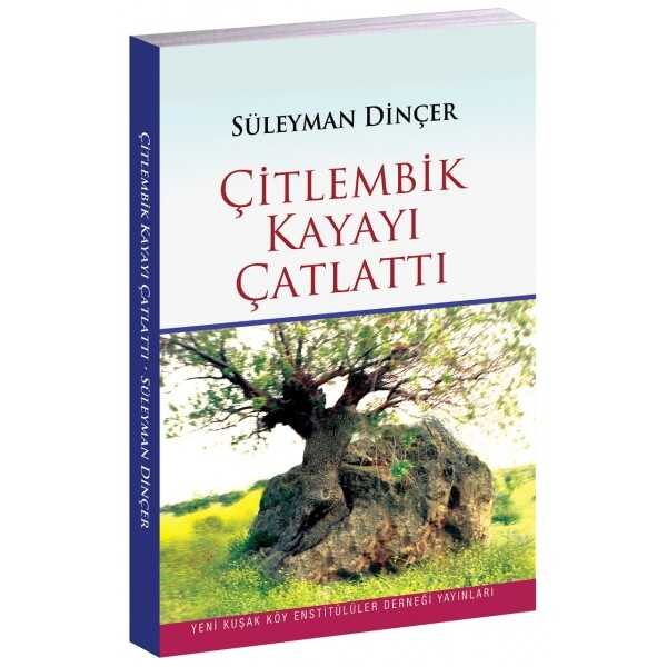 Çitlembik Kayayı Çatlattı