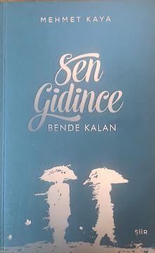 Sen Gidince