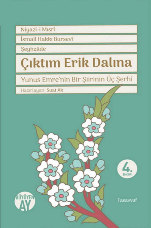 Çıktım Erik Dalına
