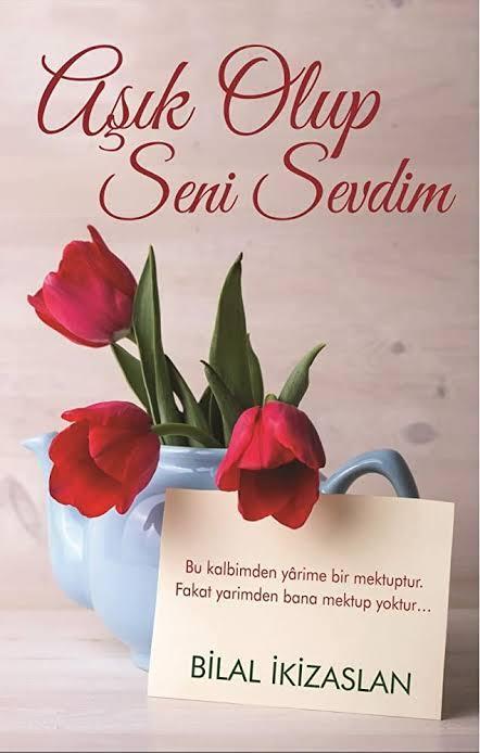Aşık olup seni sevdim