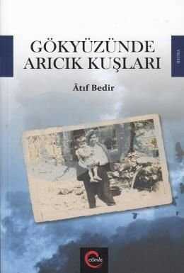 Gökyüzünde Arıcık Kuşları