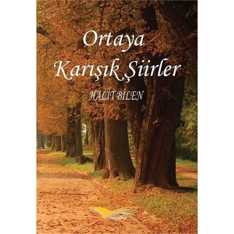 Ortaya Karışık Şiirler