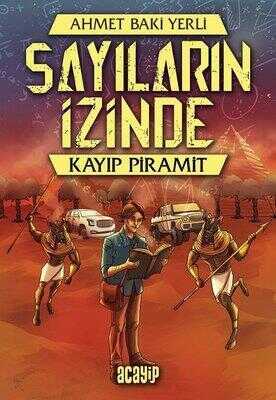 Sayıların İzinde