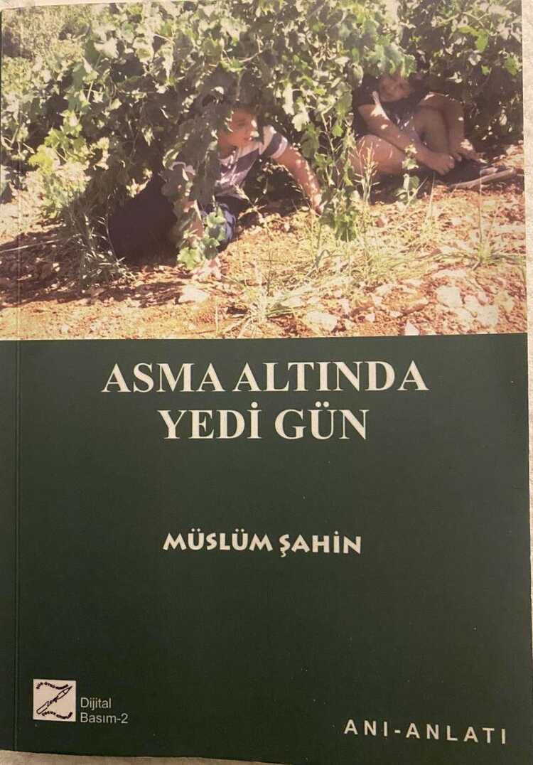 Asma Altında Yedi Gün