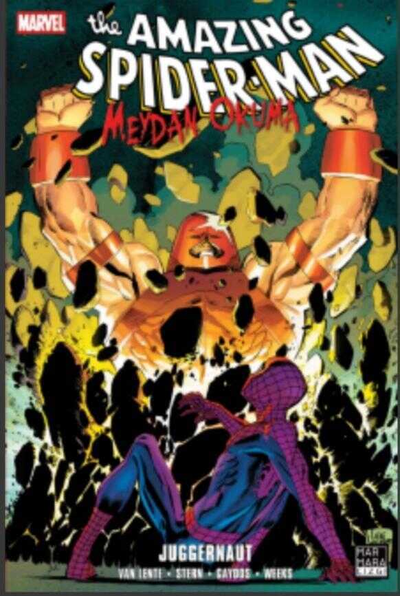 The Amazing Spider-Man Cilt 17