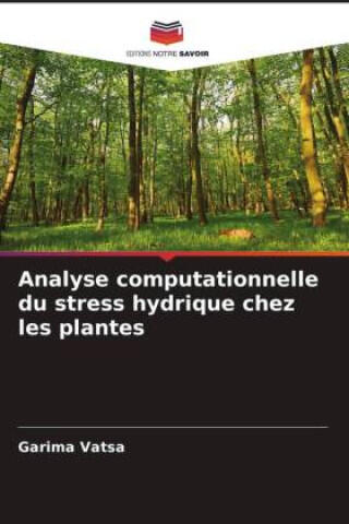 Analyse computationnelle du stress hydrique chez les plantes