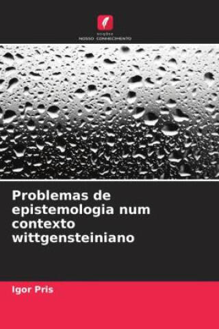 Problemas de epistemologia num contexto wittgensteiniano